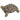 Decorative Turtle Figurine