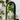 Luxury Silver Wood Arched Floor Mirror