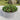 Round Raised Metal Garden Bed Kit
