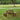 Picnic Table - CharmyDecor