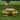 Picnic Table - CharmyDecor