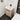 24" Freestanding Light Oak Bathroom Vanity with White Resin Sink