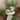 6/8" Ceramic White Footed Planter