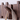 Black Walnut Wall-Mounted Coat Rack
