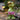Frog Garden Statue - Charmydecor
