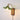 a vintage plug in wall sconce with with a green glass shade and wooden base
