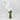 Green vase with white orchid flowers arranged elegantly