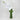 Side angle of green vase with cascading white orchids