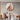 Cute Elephant Wall Decor