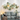 Modern Abstract Lotus Leaf Wall Accent