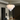 Contemporary White Glass Chandelier