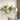 Modern Abstract Lotus Leaf Wall Accent