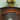 Triangle Corner Cabinet with glass door