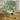 Luxury Ergonomic Swivel Office Chair