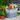 Vintage Square Flower Planter Box.