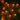 Halloween String Light