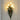 Modern Flower Shape Wall Mount Lamp