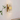Golden Rectangle LED Wall Sconce