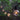 Courtyard LED Fairy String Light