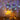 Clear Nordic Starry LED String Light