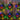 Wreath Christmas light