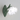 Green Flower Shape Glass Wall Light