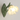 Green Flower Shape Glass Wall Light