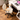Comfortable Swivel Armchair Office Chair