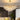 Modern Gold Crystal Chandelier