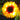 Solar Powered Flower Landscape Light