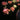 Outdoor Lights