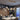Linear Glass Globe Pendant Light