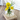 decorative vase