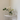 Glass Vase