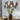 flower vase on tabletop with beautiful wall decor