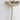 Brushed Gold Exposed Rainfall Shower Fixture