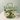 Creative Glass Bag Flower Vase