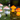 3pcs Mushroom Outdoor Solar Garden Lights