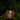 night light