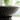 Antique Black Pedestal Bathroom Sink