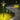 waterproof 360° Luminous Solar Light