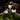 Solar Pathway Landscape Outdoor Lights