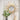 Classical Floral Shape Wall Clock Decor
