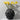 black vase