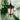 Gazebo Rustic Outdoor Hanging Lamp
