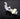 spout handle