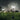 Grass Globe Dandelion Fireworks Outdoor Lights