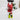 Christmas decorative storage back view