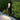Solar Pathway Lawn Light