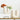 flowers on a console